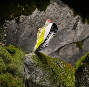 KIPRUN presenta la KIPSUMMIT MAX: máximo confort para ir más allá 2