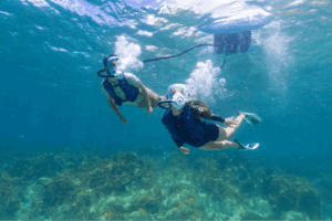 Decathlon presenta Easybreath Dive, la innovadora forma de explorar el fondo marino